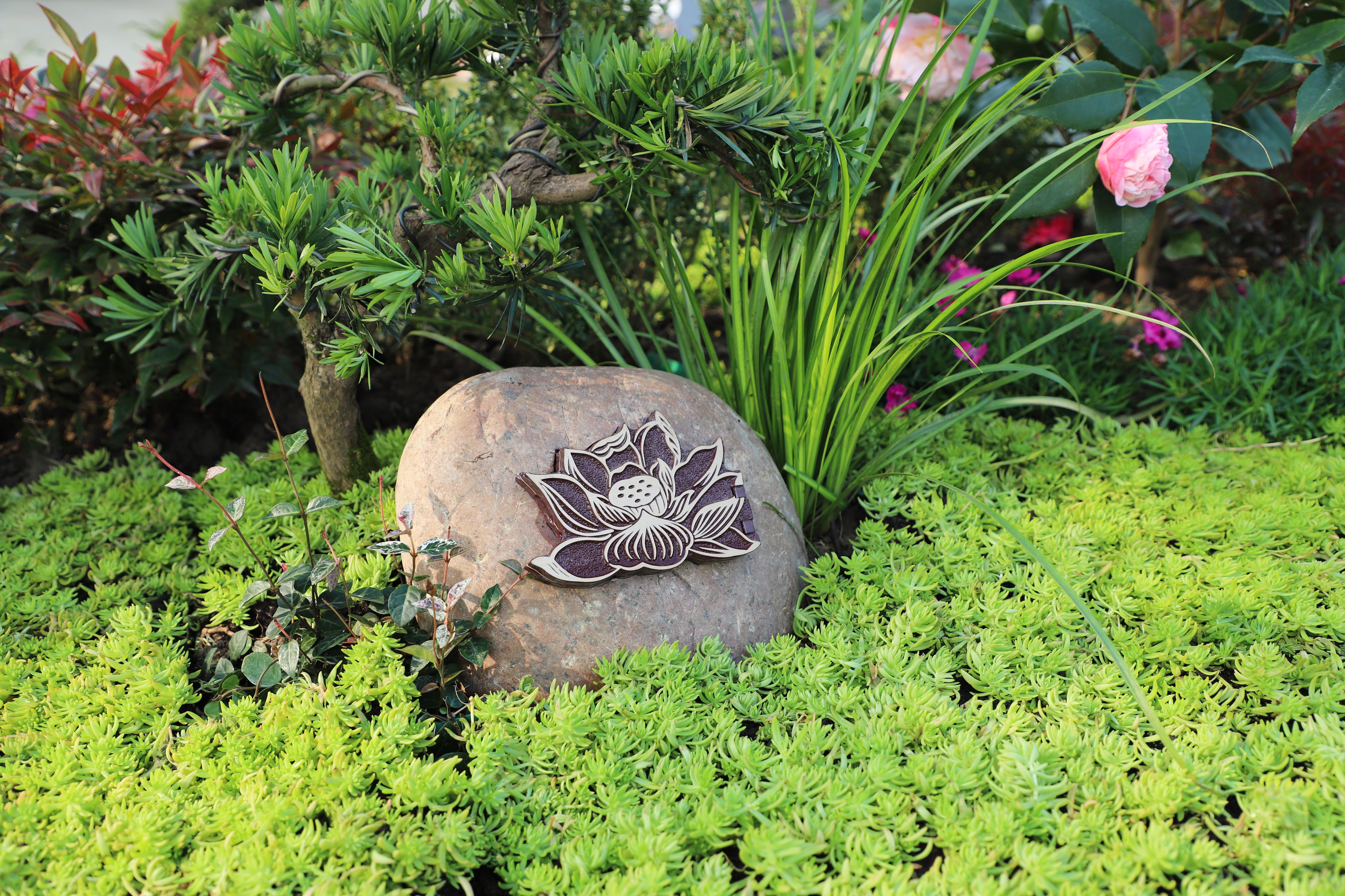 米乐|米乐·M6(中国大陆)官方网站