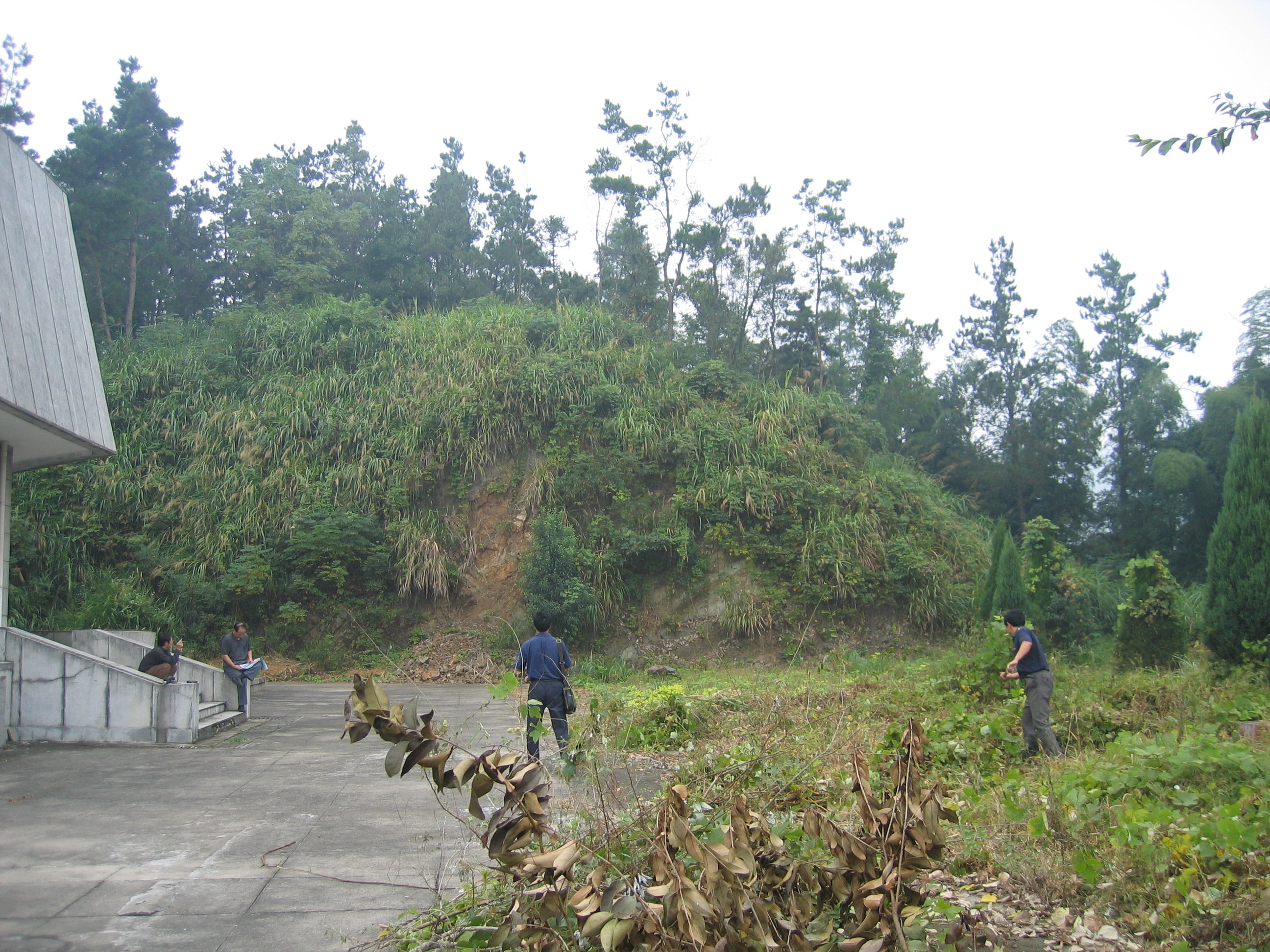 米乐|米乐·M6(中国大陆)官方网站