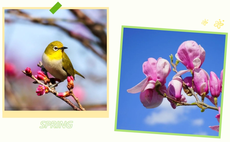 米乐|米乐·M6(中国大陆)官方网站