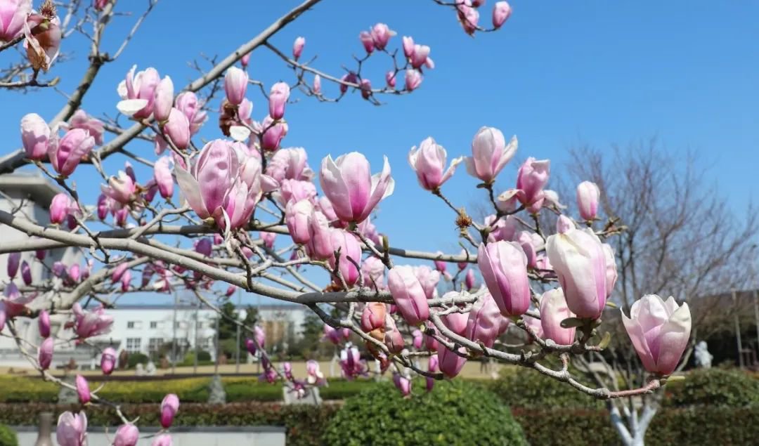 米乐|米乐·M6(中国大陆)官方网站