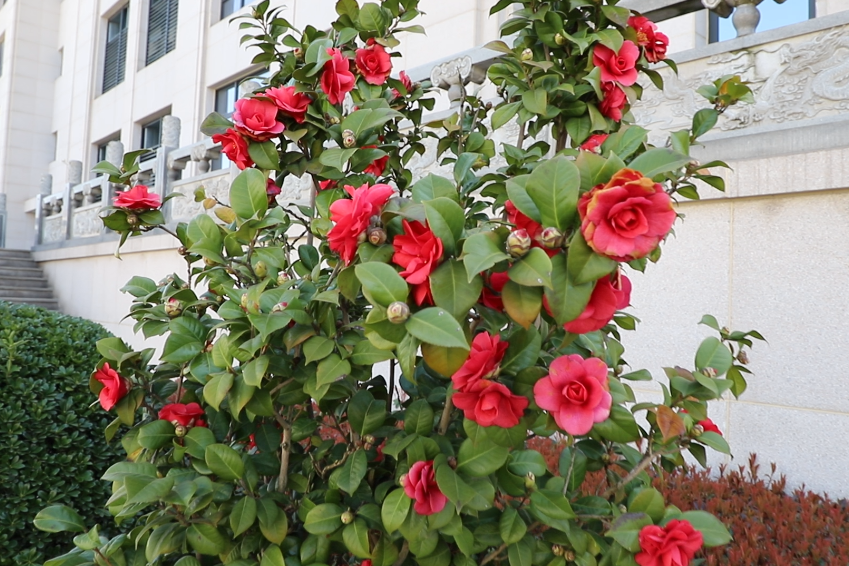 米乐|米乐·M6(中国大陆)官方网站