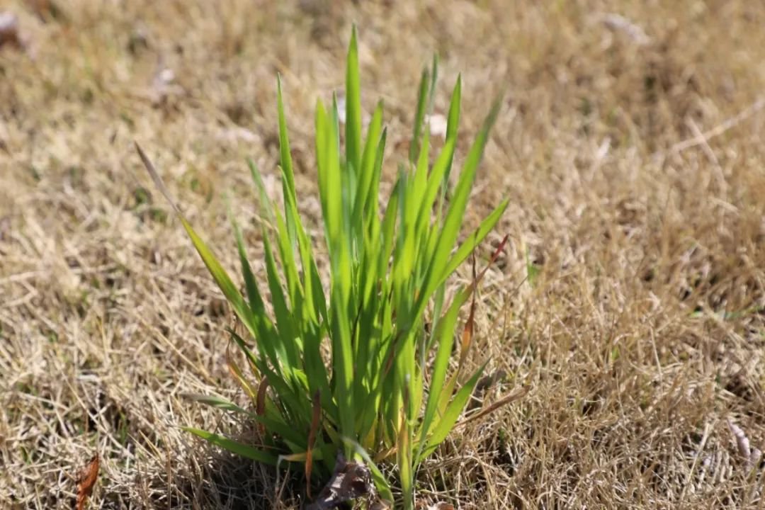 米乐|米乐·M6(中国大陆)官方网站