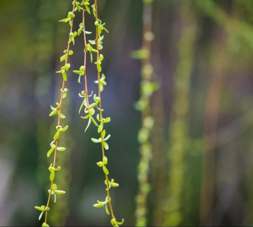 米乐|米乐·M6(中国大陆)官方网站