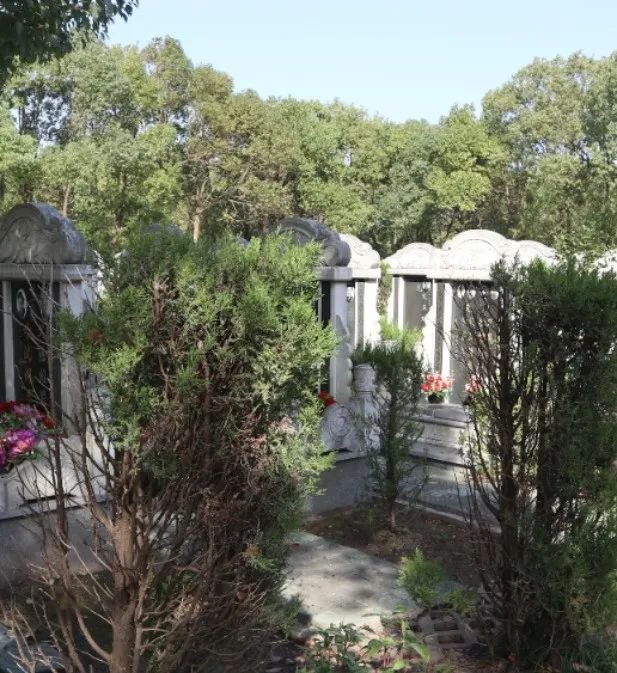 米乐|米乐·M6(中国大陆)官方网站