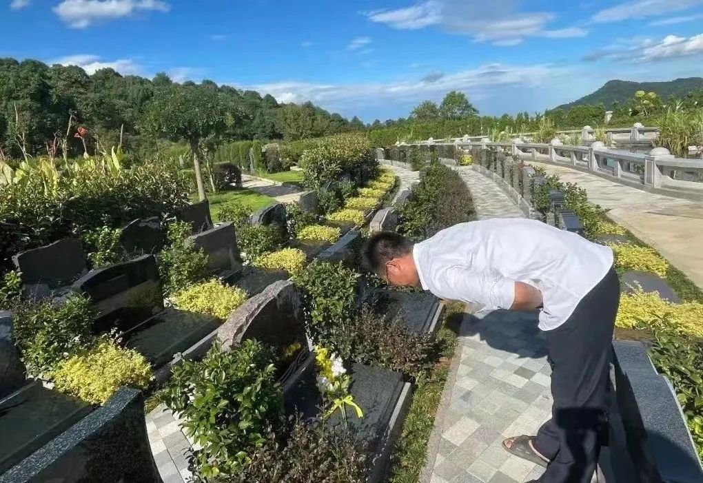 米乐|米乐·M6(中国大陆)官方网站