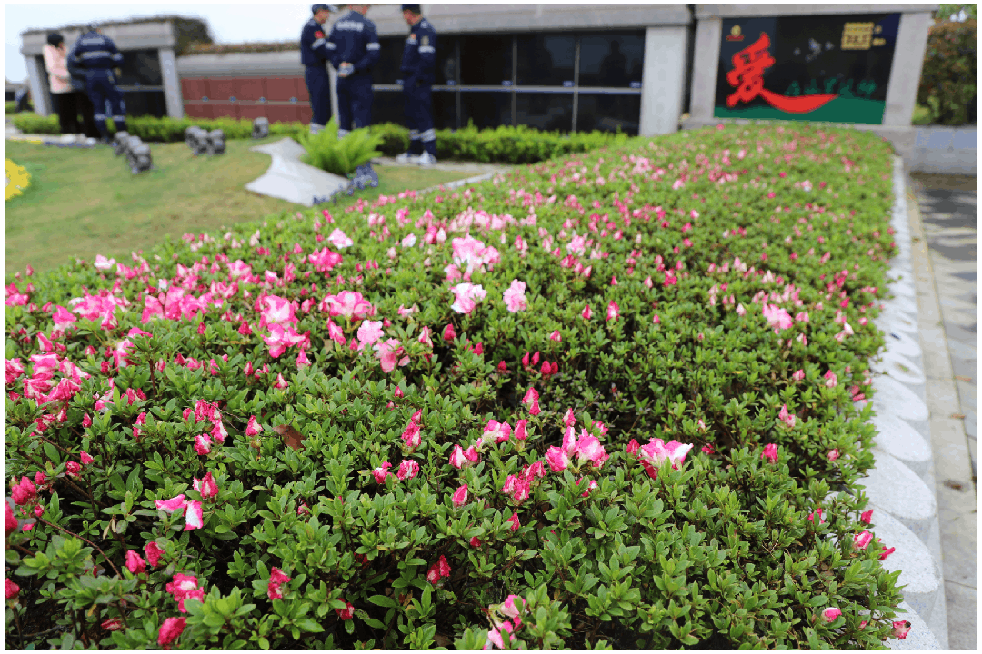 米乐|米乐·M6(中国大陆)官方网站