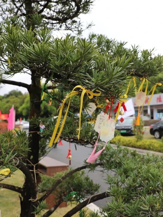 米乐|米乐·M6(中国大陆)官方网站