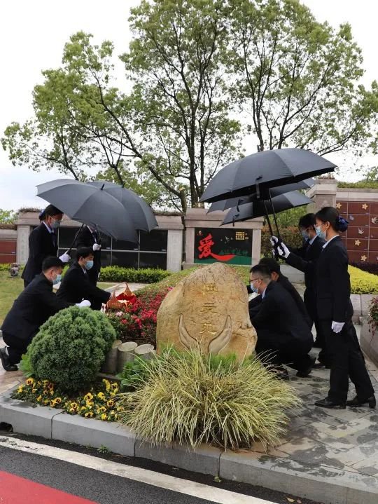 米乐|米乐·M6(中国大陆)官方网站