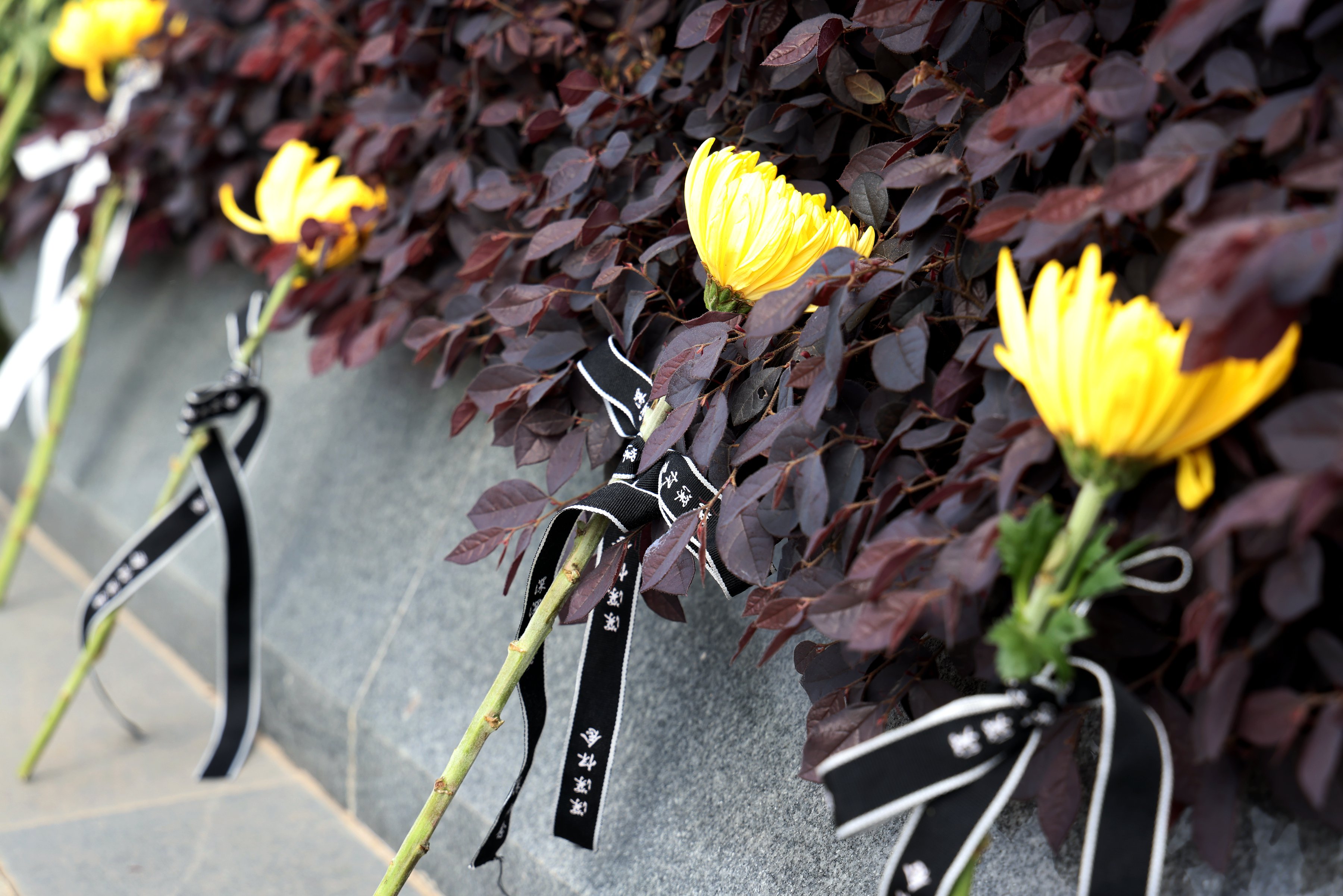 米乐|米乐·M6(中国大陆)官方网站