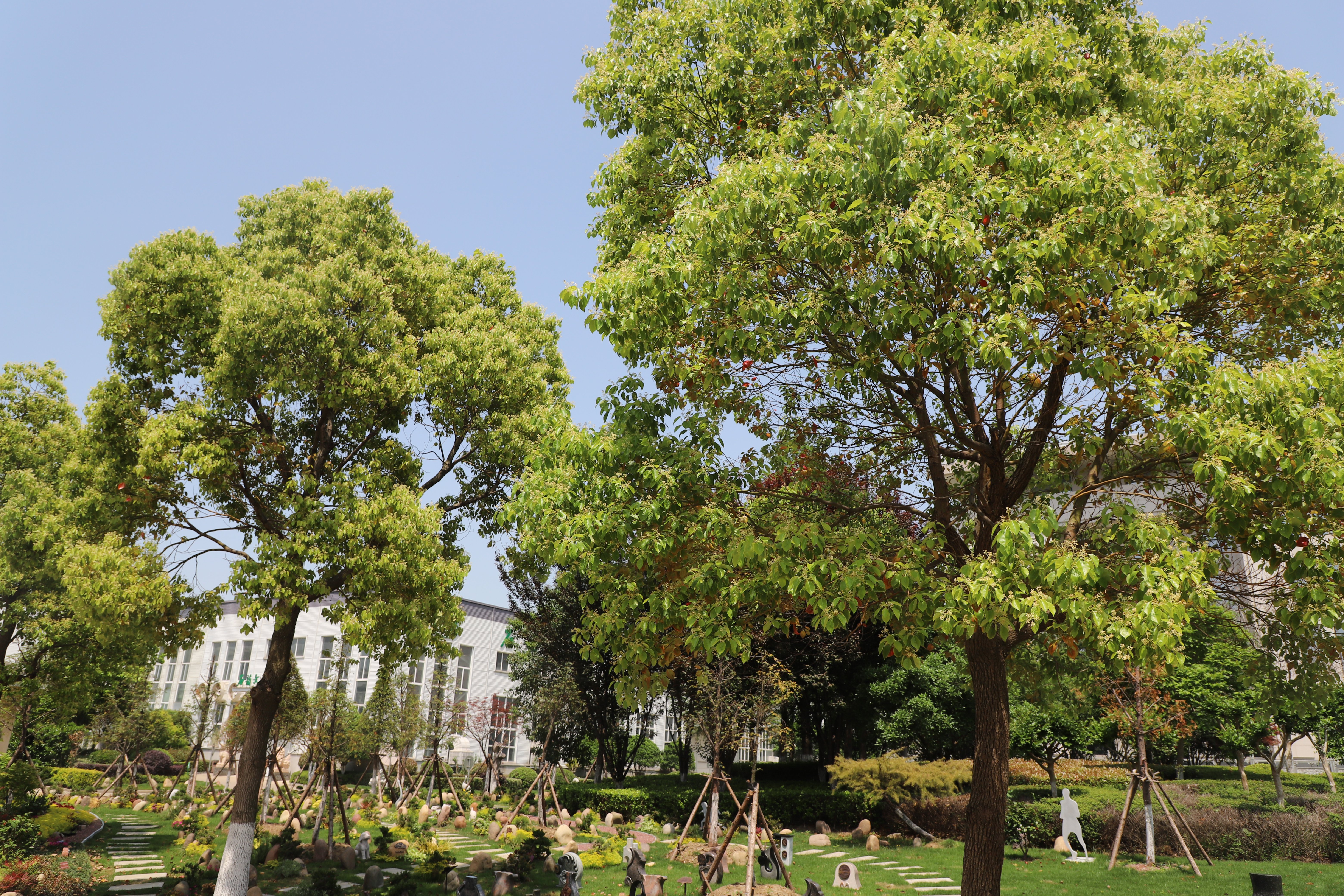 米乐|米乐·M6(中国大陆)官方网站