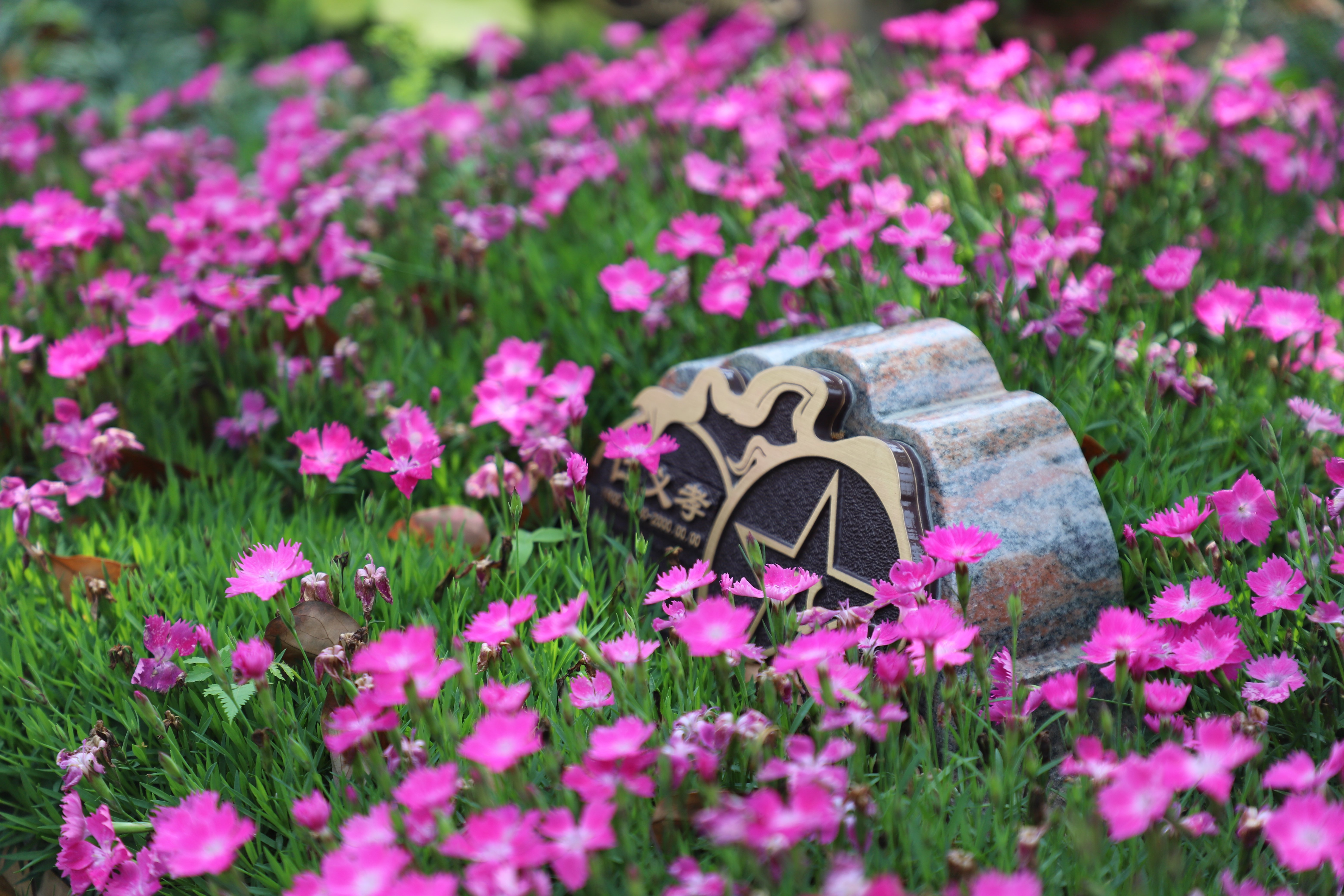 米乐|米乐·M6(中国大陆)官方网站