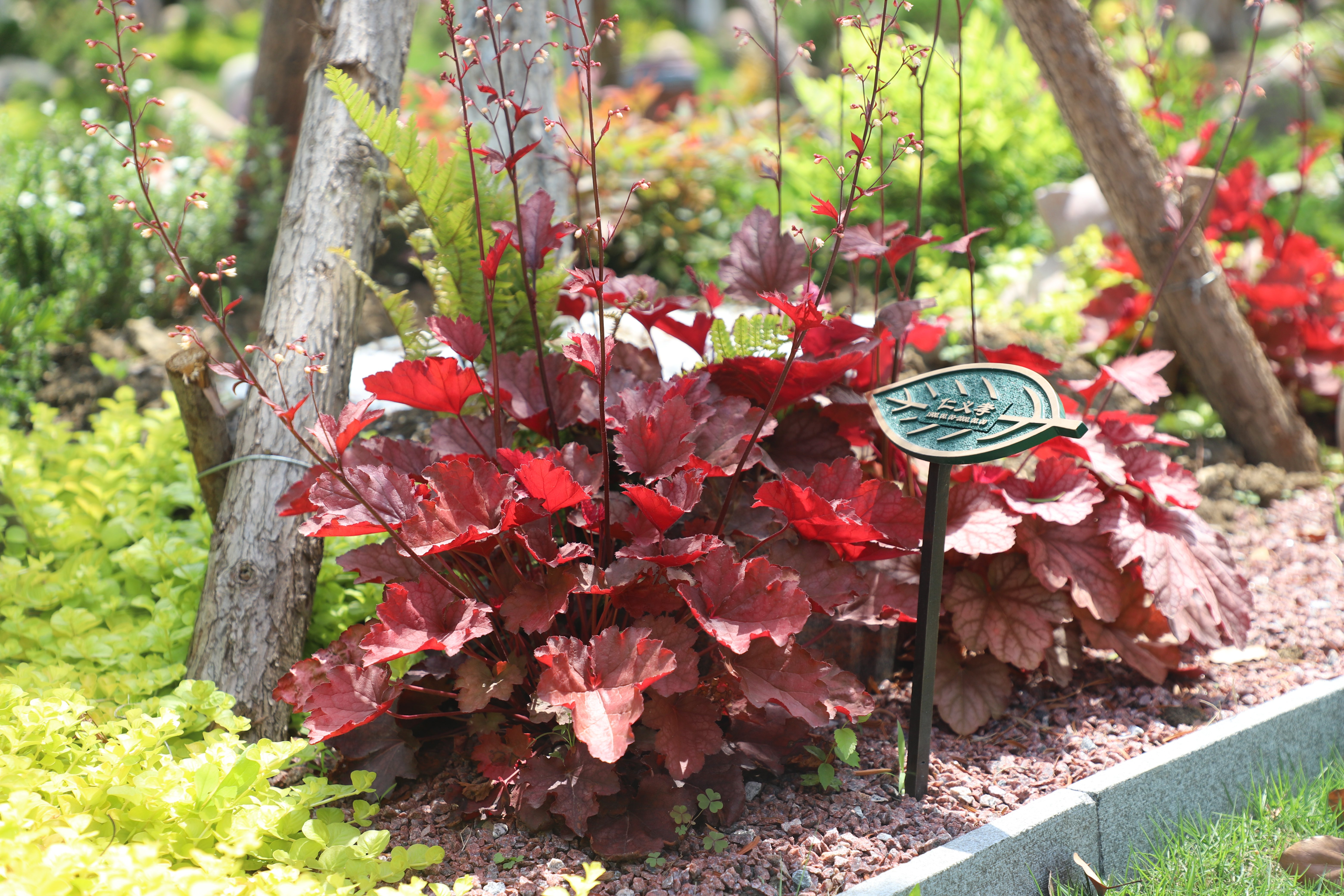 米乐|米乐·M6(中国大陆)官方网站