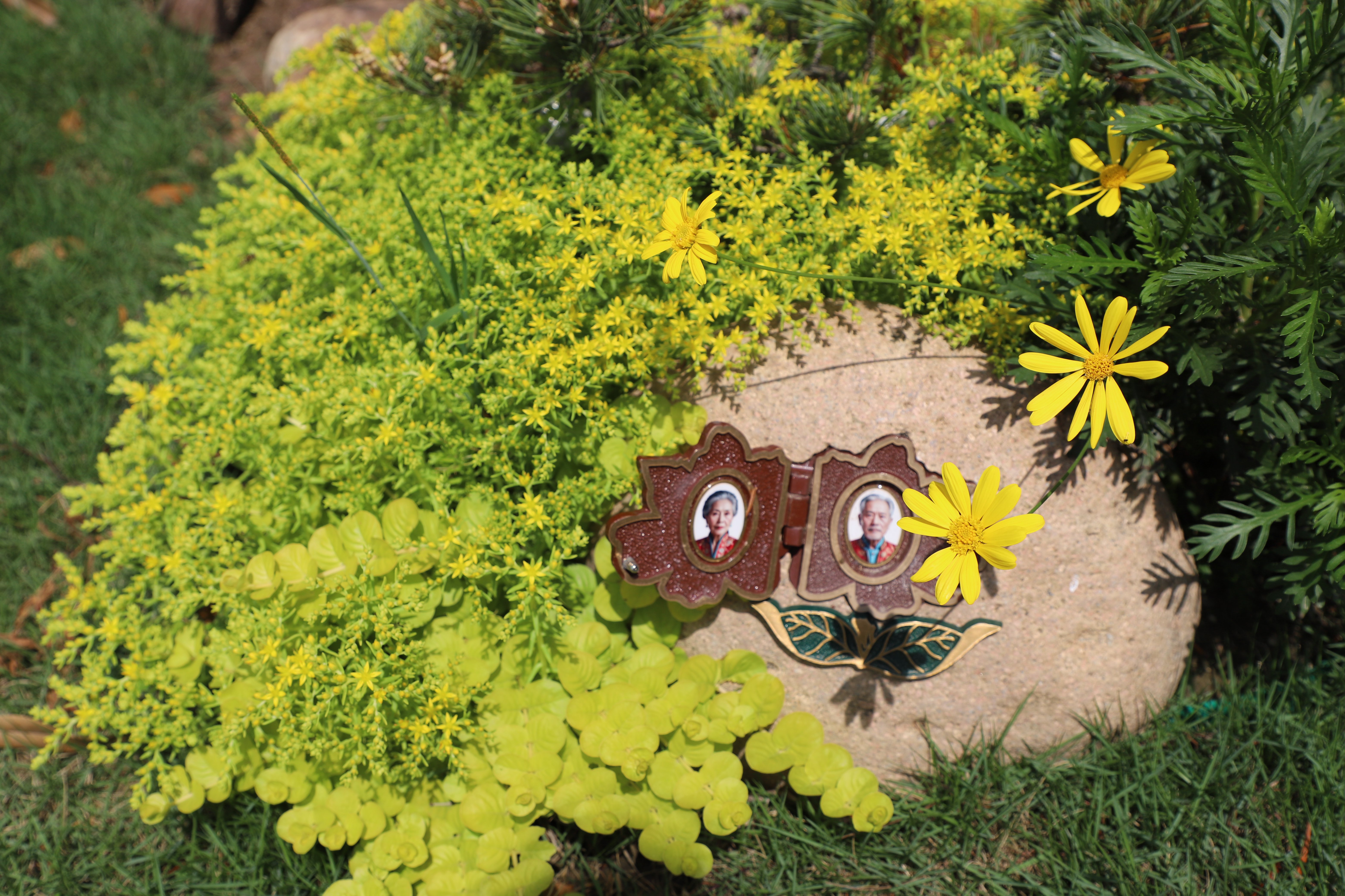 米乐|米乐·M6(中国大陆)官方网站