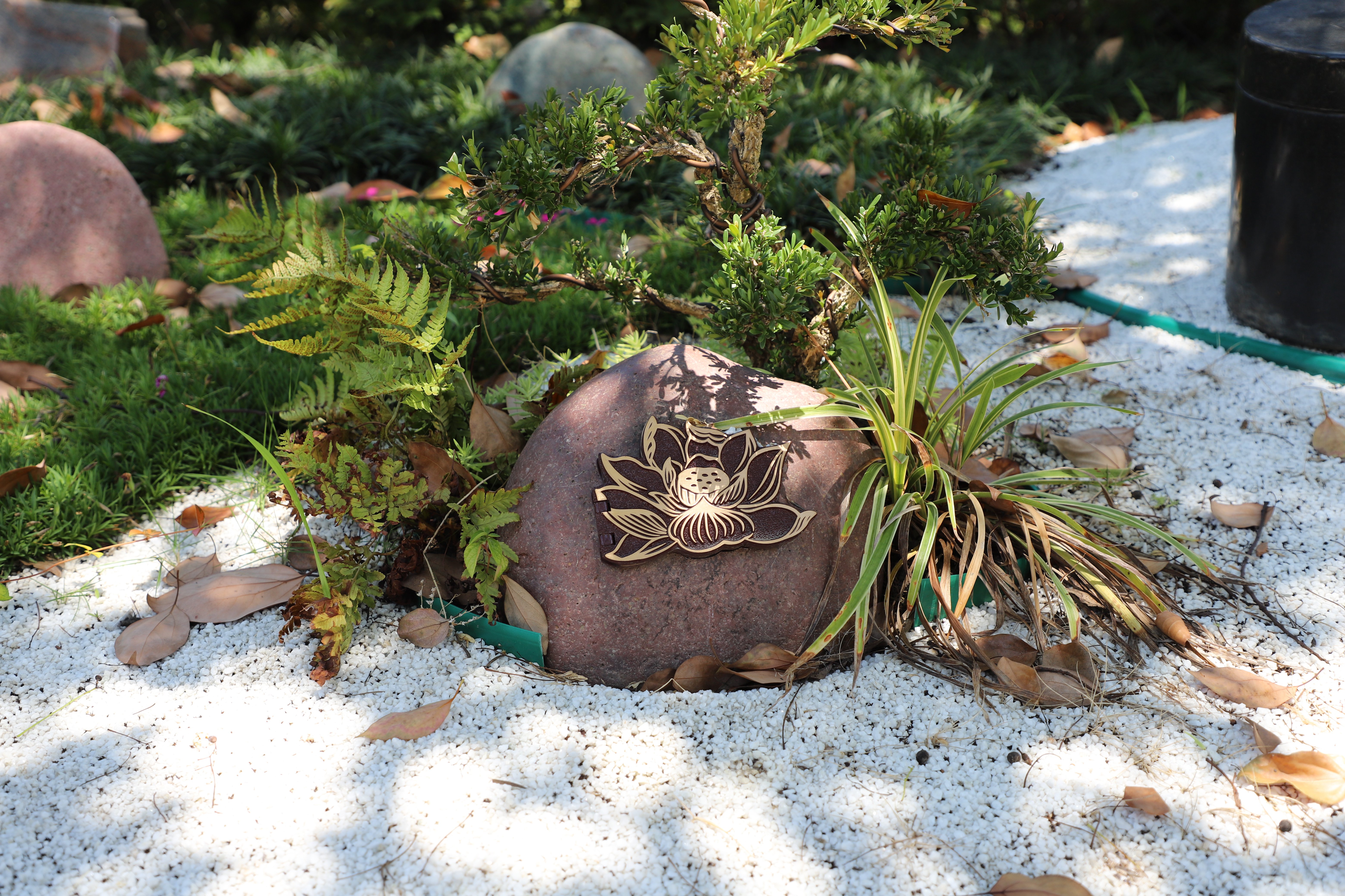 米乐|米乐·M6(中国大陆)官方网站