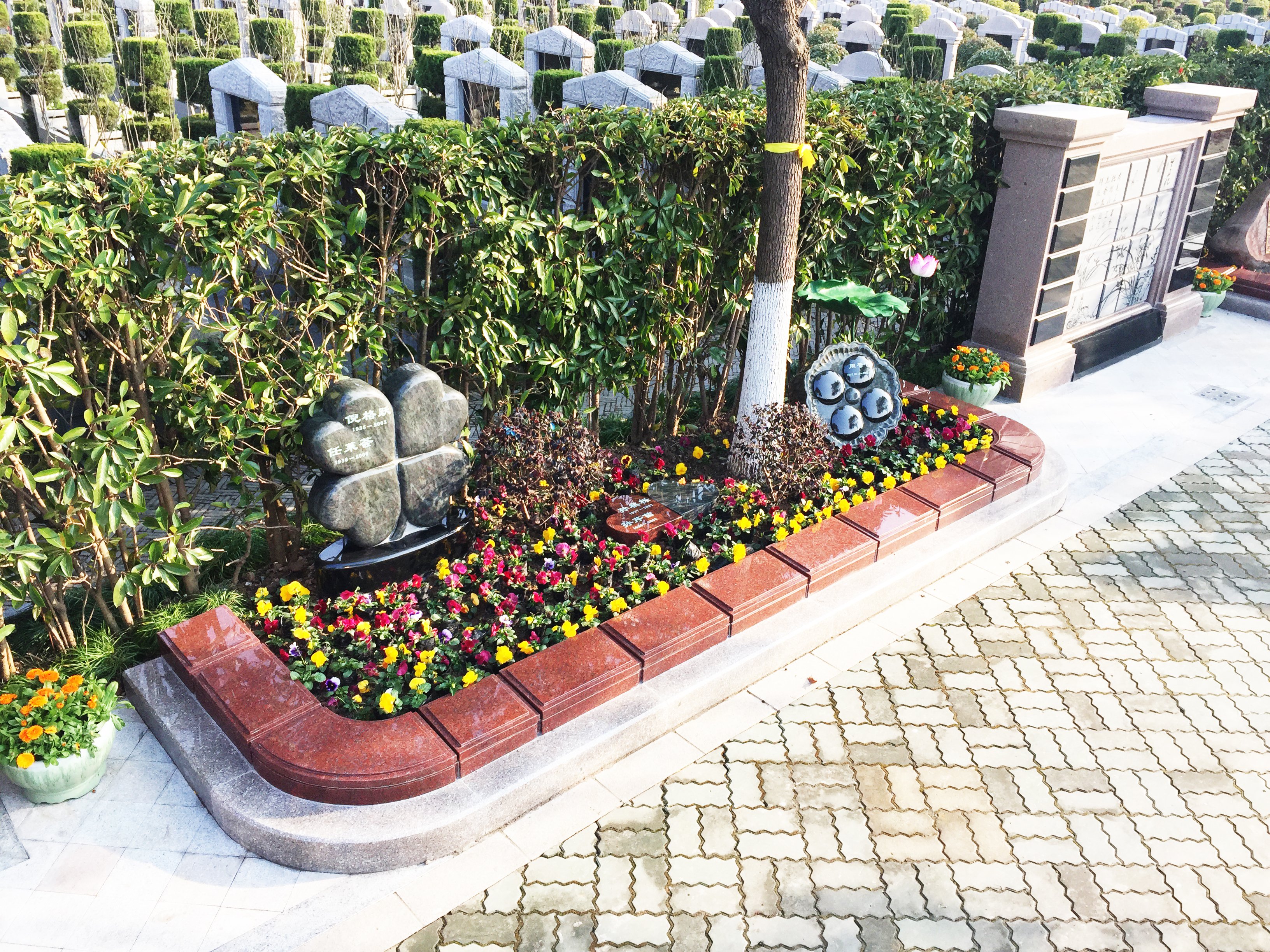 米乐|米乐·M6(中国大陆)官方网站