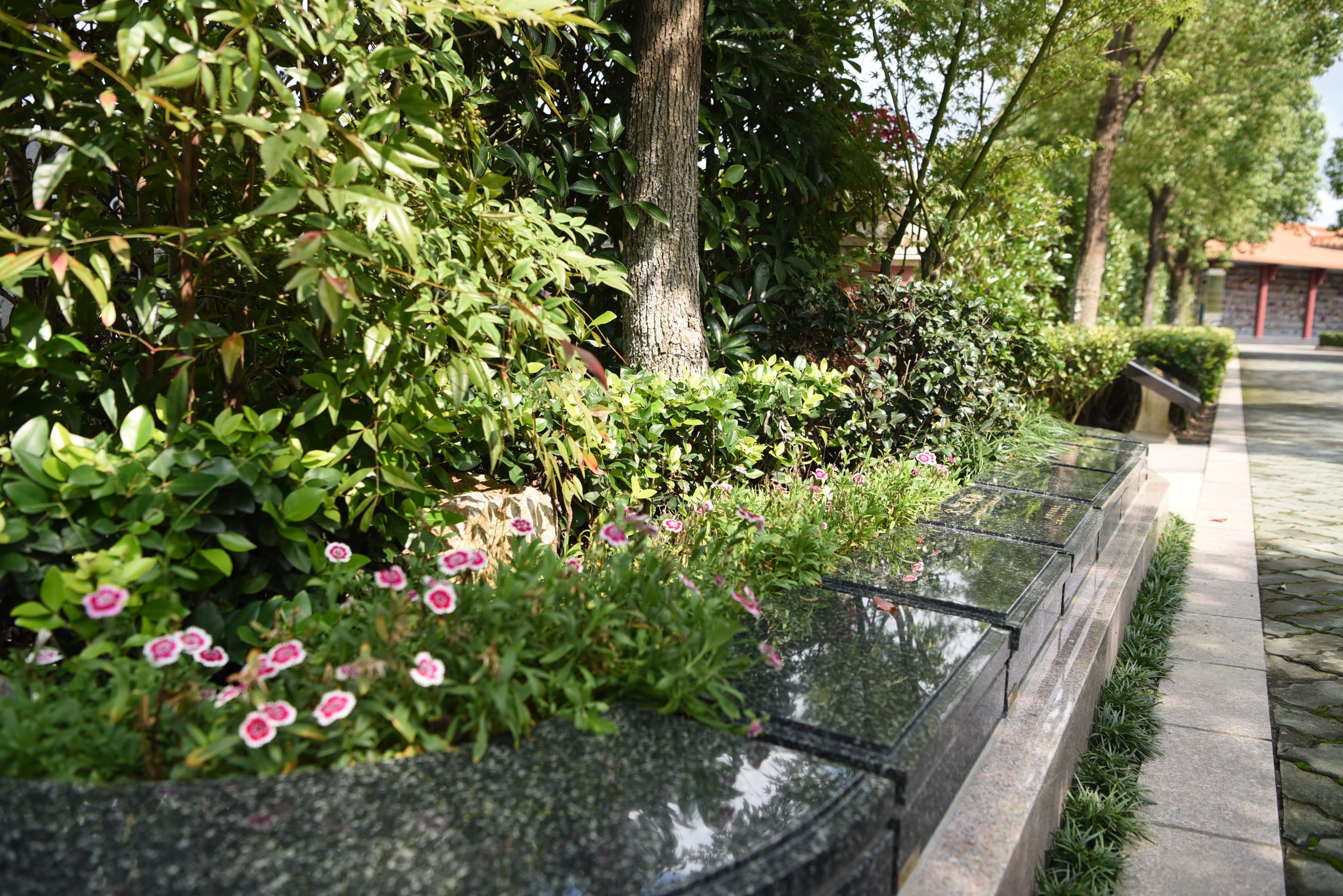 米乐|米乐·M6(中国大陆)官方网站