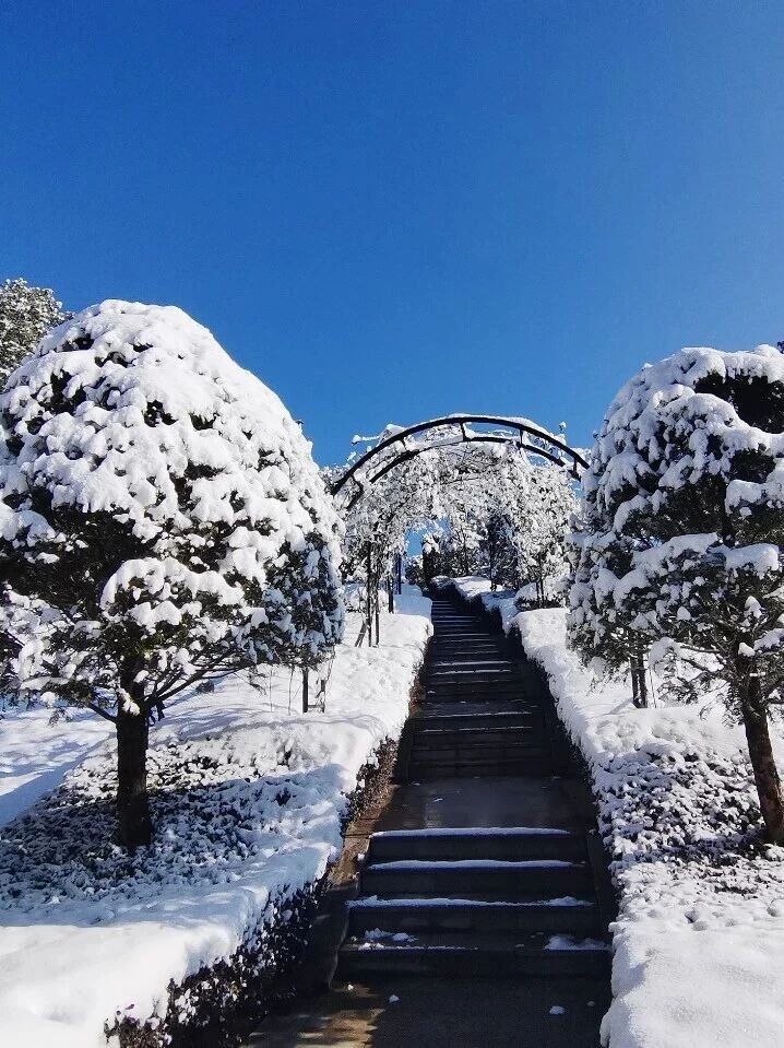 米乐|米乐·M6(中国大陆)官方网站