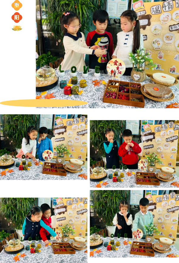 米乐|米乐·M6(中国大陆)官方网站