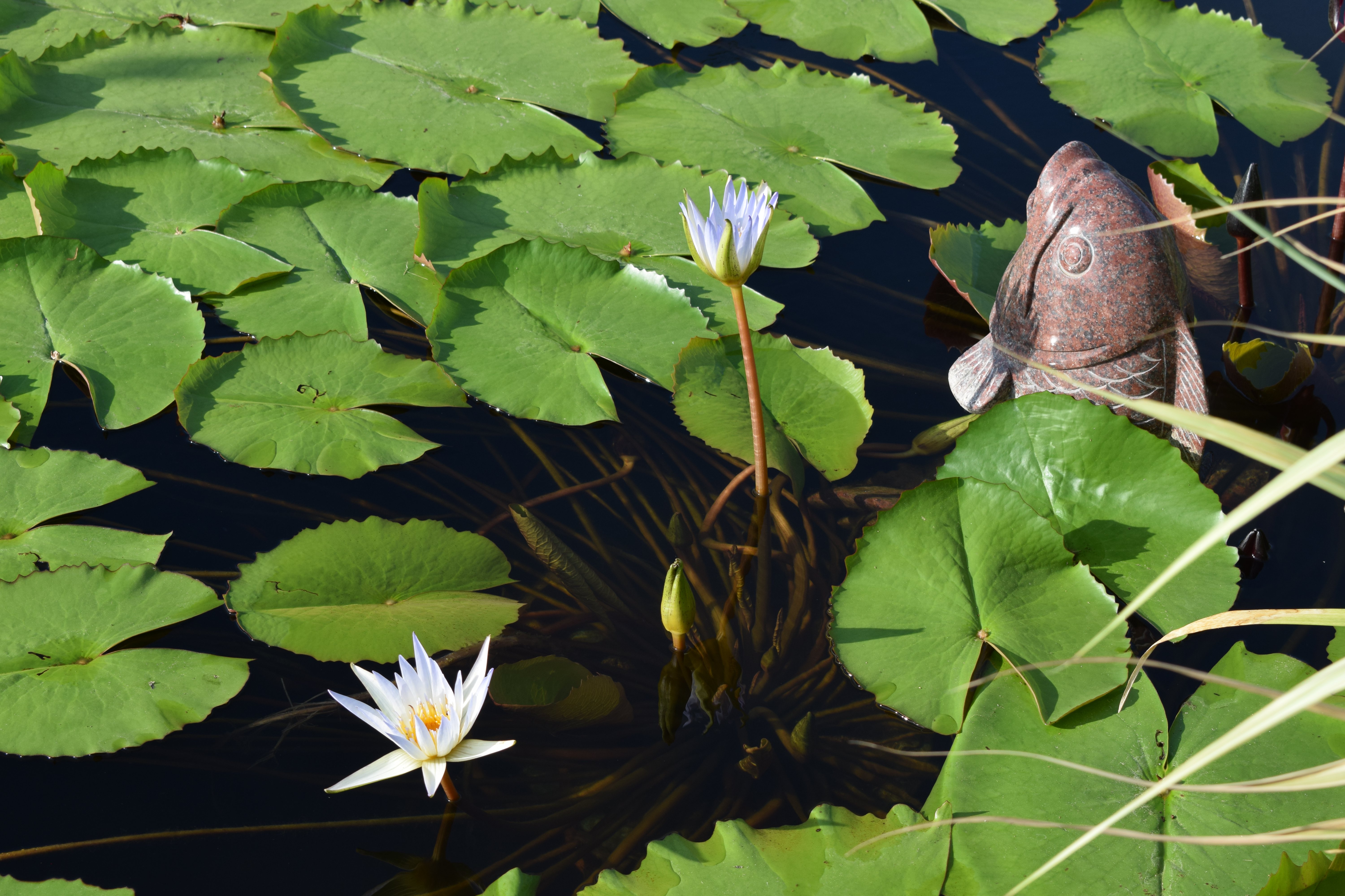 米乐|米乐·M6(中国大陆)官方网站