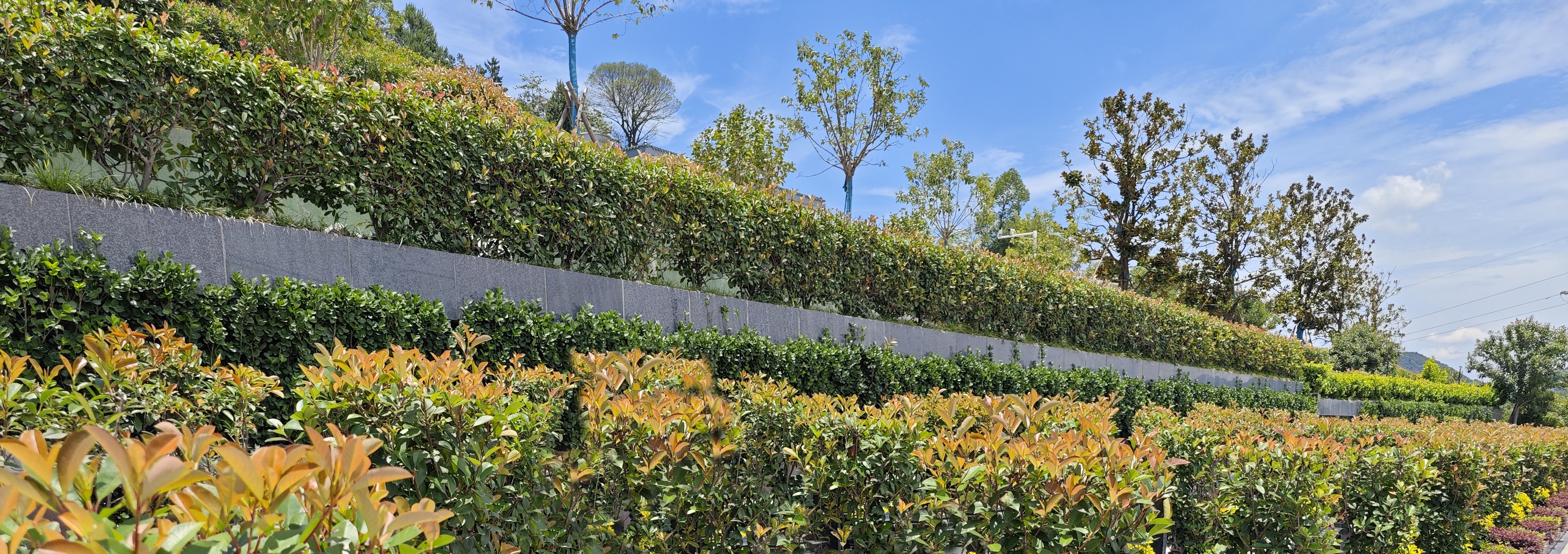 米乐|米乐·M6(中国大陆)官方网站