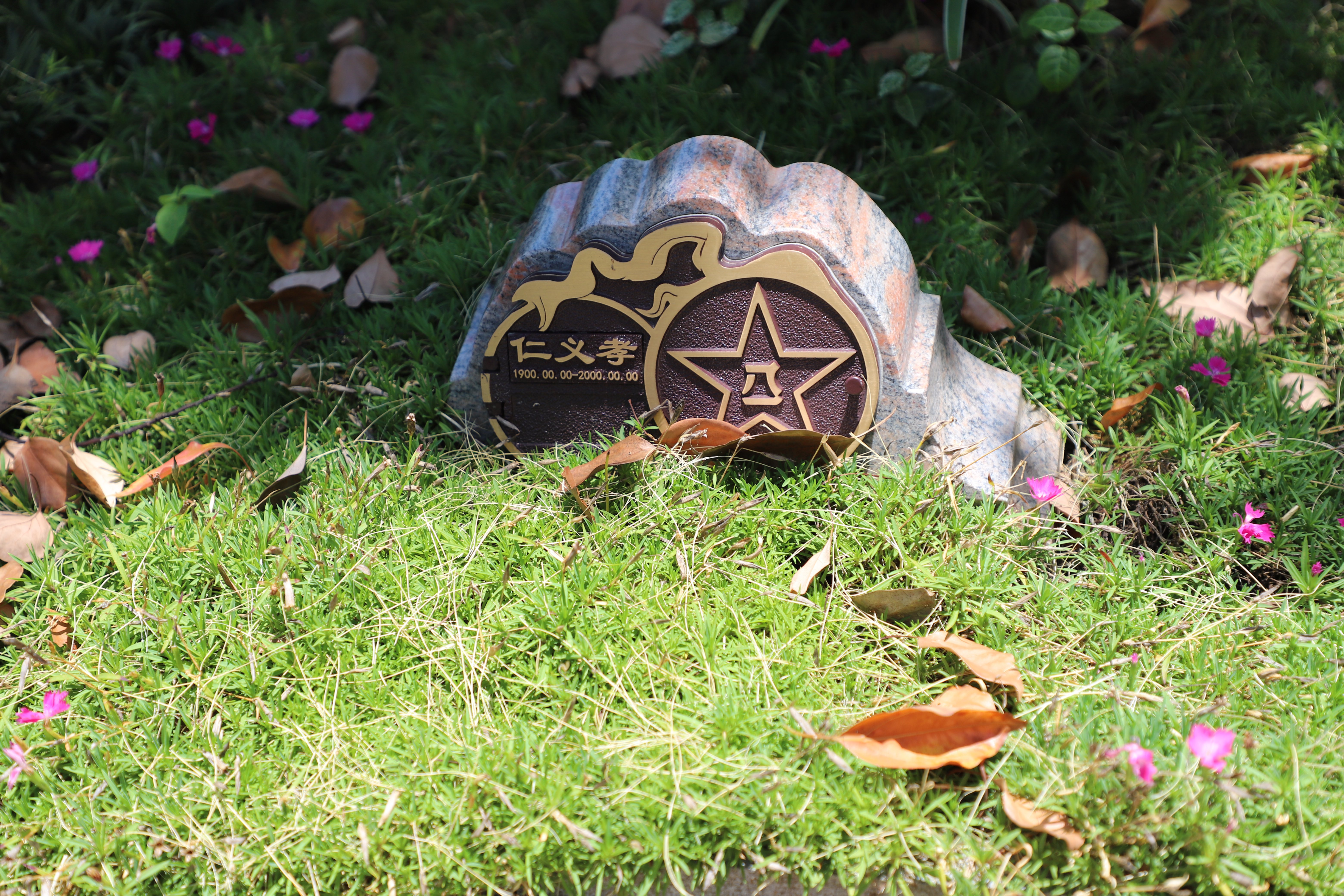 米乐|米乐·M6(中国大陆)官方网站