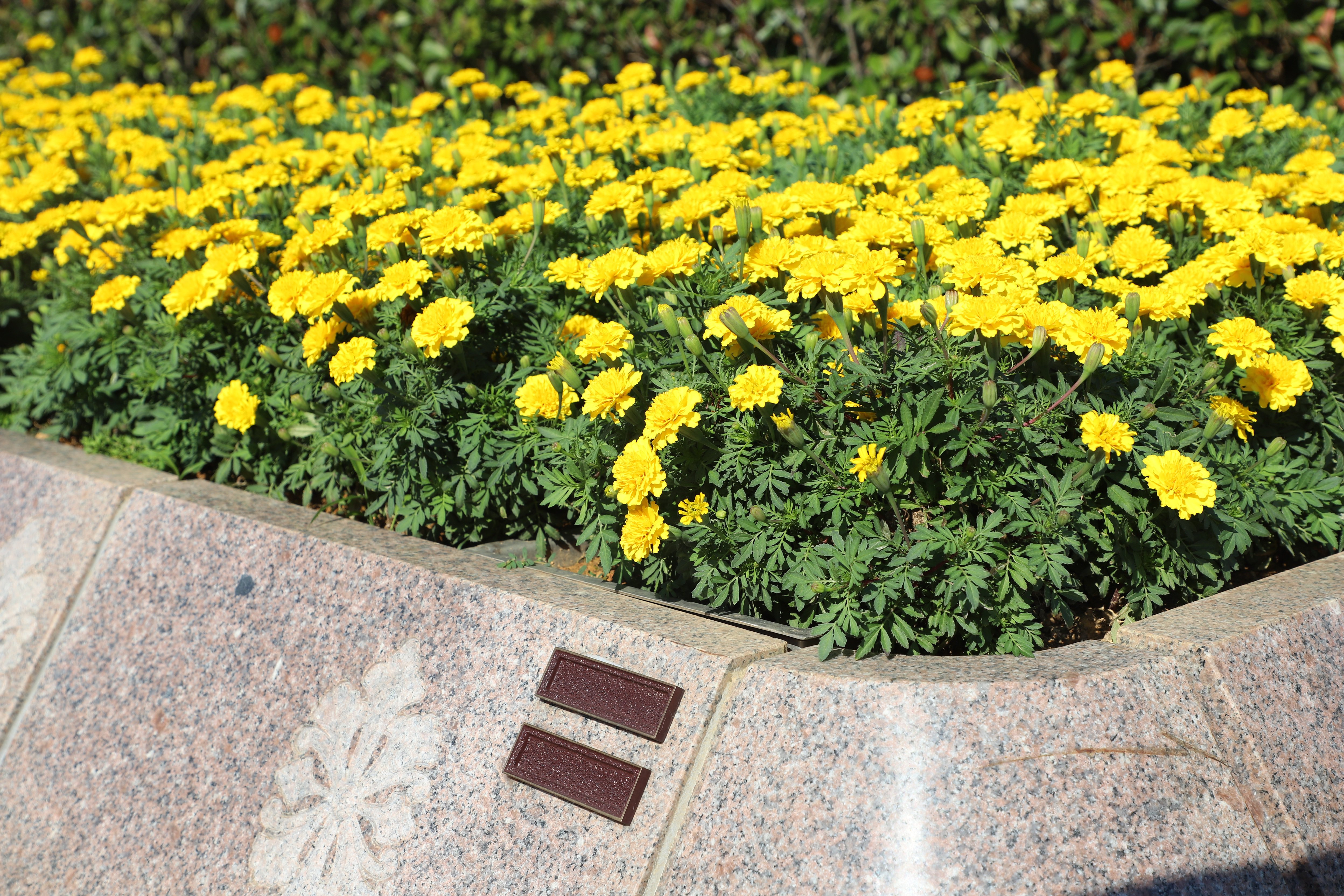 米乐|米乐·M6(中国大陆)官方网站