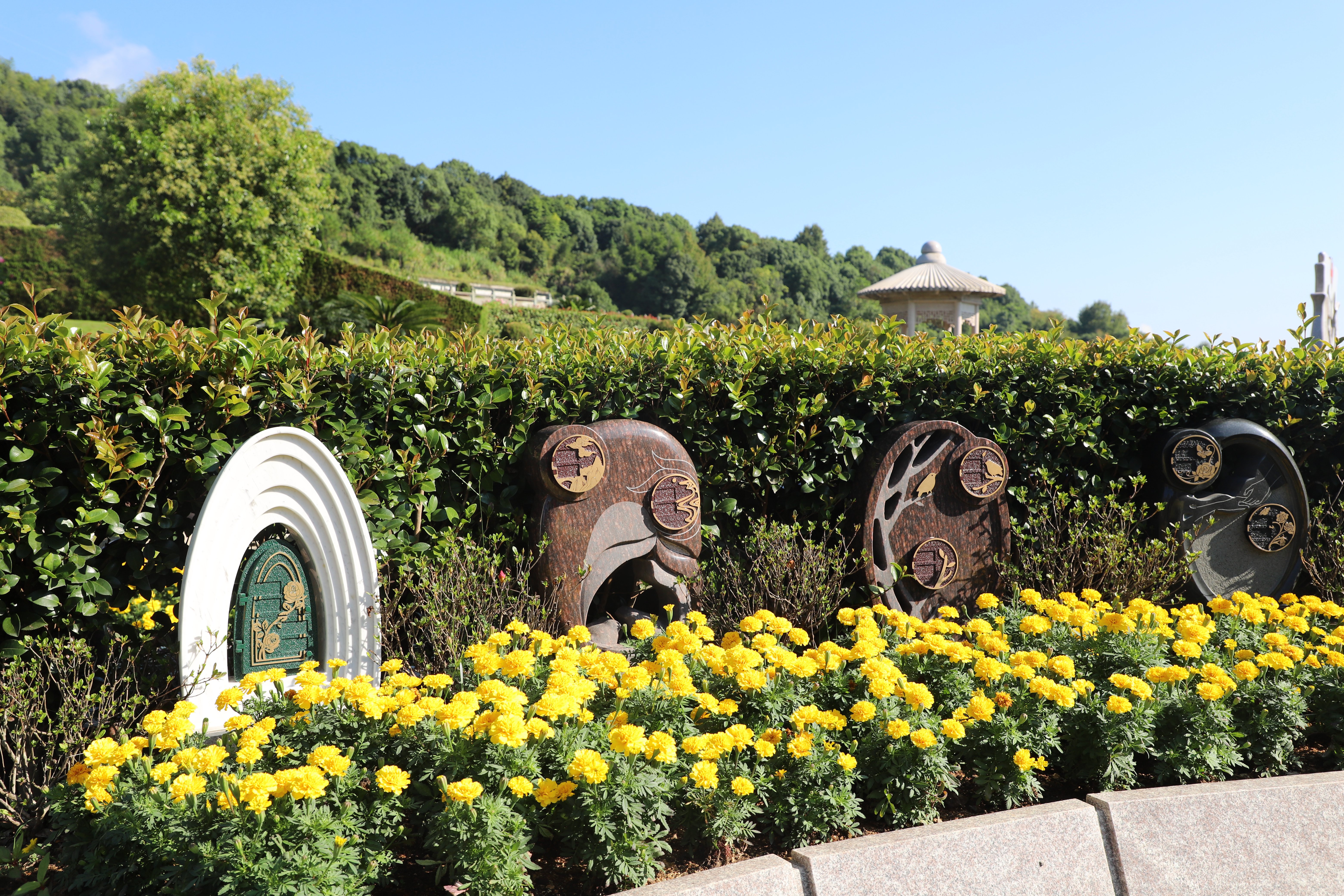 米乐|米乐·M6(中国大陆)官方网站